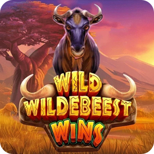 WILD WILDEBEEST WINS