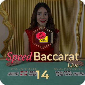 SPEED BACCARAT 14